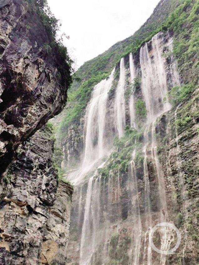 隆冬“丰”景：贵州平塘汉雷香丰收又畅销